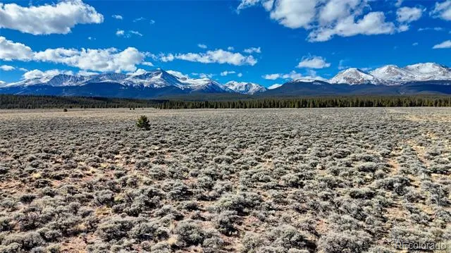 15 County Road 10 Leadville, CO 80461