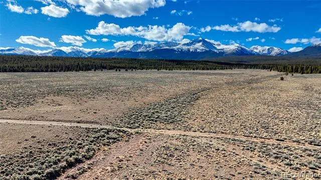 15 County Road 10 Leadville, CO 80461