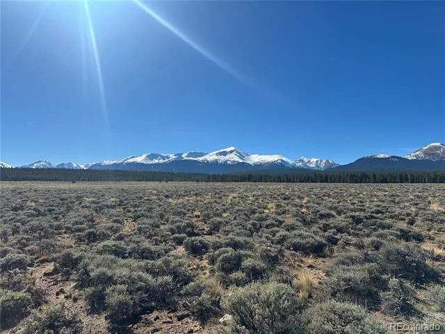 15 County Road 10 Leadville, CO 80461