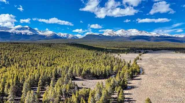 15 County Road 10 Leadville, CO 80461