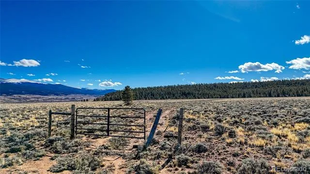 15 County Road 10 Leadville, CO 80461