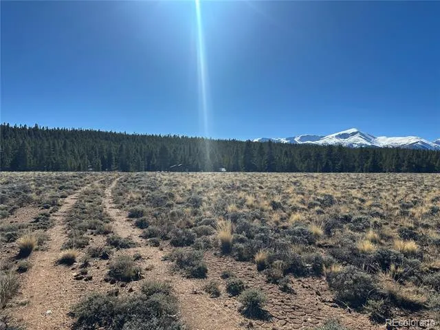 15 County Road 10 Leadville, CO 80461