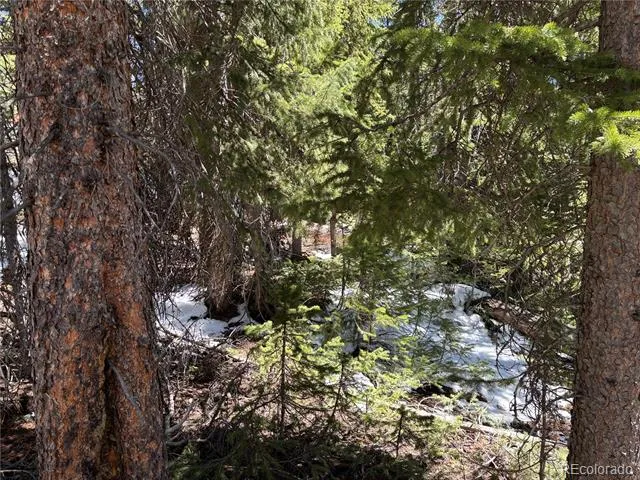 192 Kimmes Lane Breckenridge, CO 80424