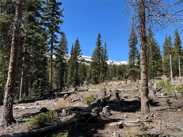 192 Kimmes Lane Breckenridge, CO 80424