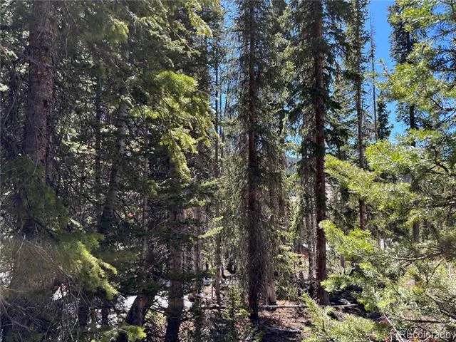 192 Kimmes Lane Breckenridge, CO 80424