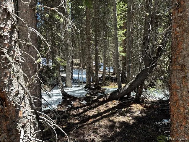 192 Kimmes Lane Breckenridge, CO 80424