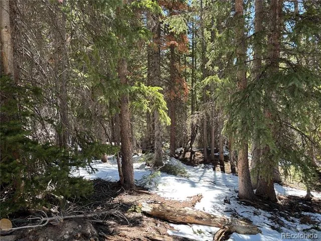 192 Kimmes Lane Breckenridge, CO 80424