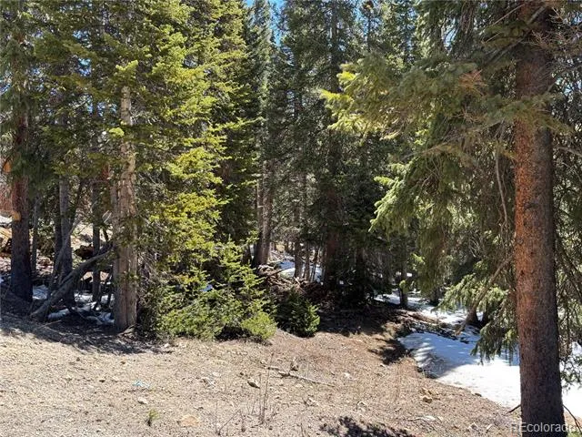 192 Kimmes Lane Breckenridge, CO 80424