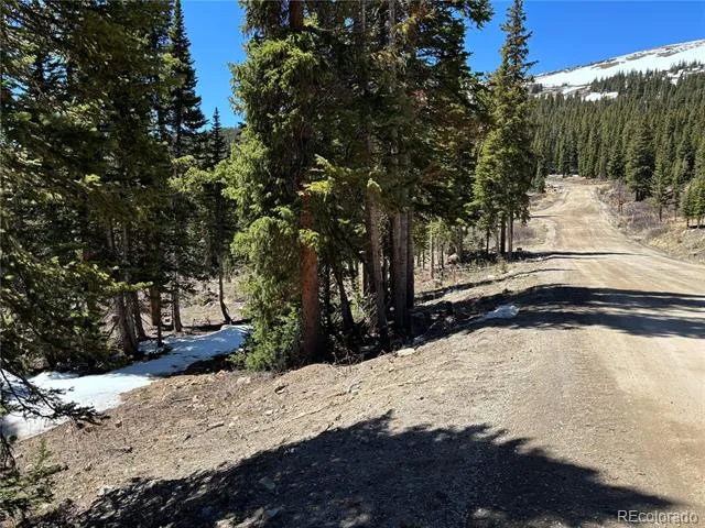 192 Kimmes Lane Breckenridge, CO 80424