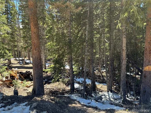 192 Kimmes Lane Breckenridge, CO 80424