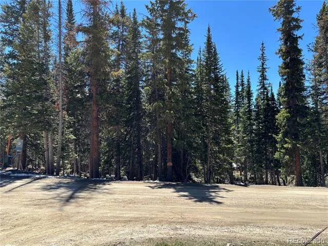 192 Kimmes Lane Breckenridge, CO 80424