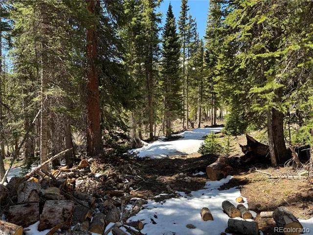 192 Kimmes Lane Breckenridge, CO 80424