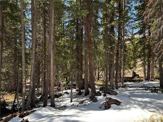 192 Kimmes Lane Breckenridge, CO 80424
