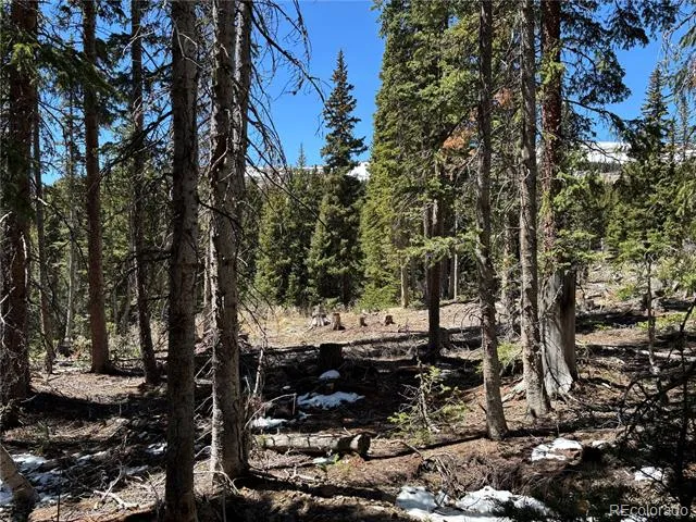 192 Kimmes Lane Breckenridge, CO 80424