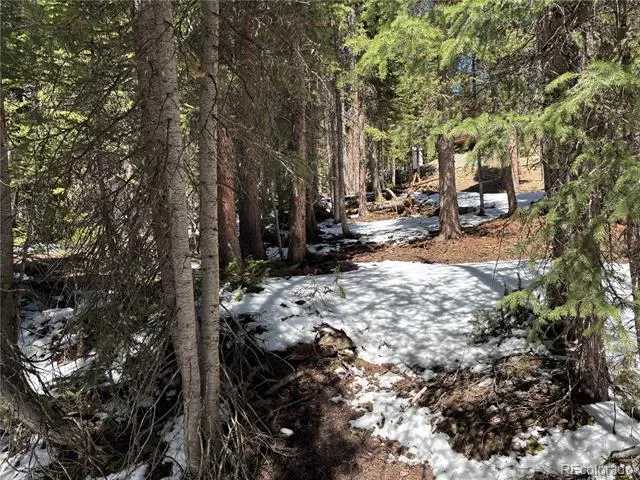 192 Kimmes Lane Breckenridge, CO 80424