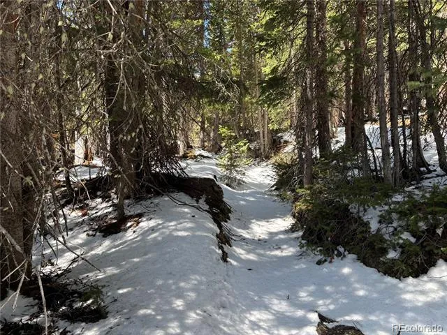 192 Kimmes Lane Breckenridge, CO 80424
