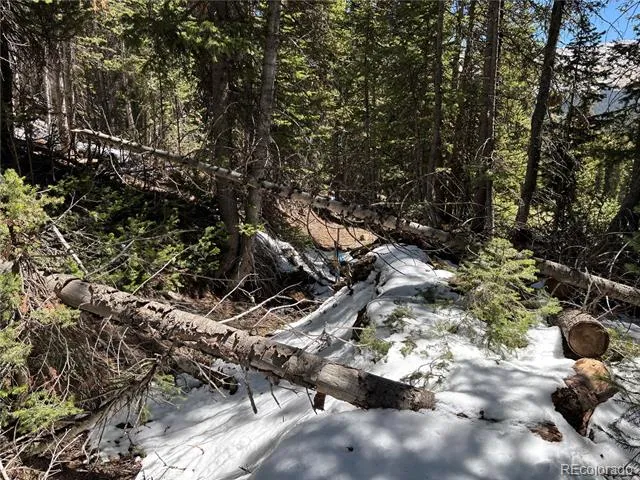 192 Kimmes Lane Breckenridge, CO 80424