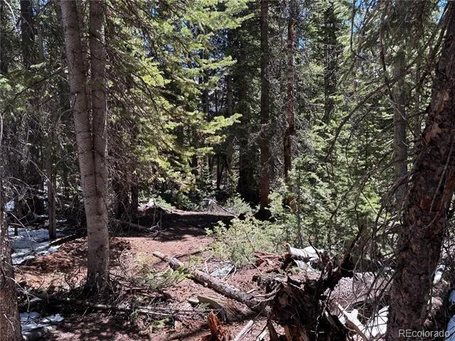 192 Kimmes Lane Breckenridge, CO 80424