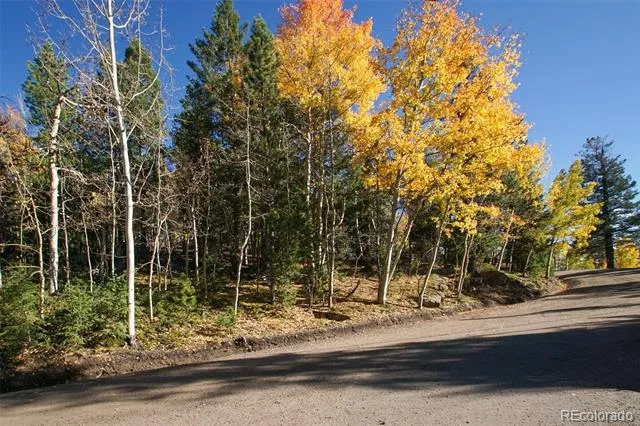 11637 Leavenworth Drive Conifer, CO 80433