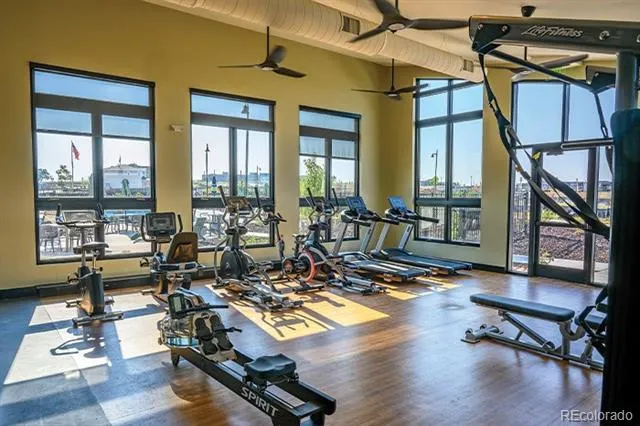 1154 Anker Drive Erie, CO 80516
