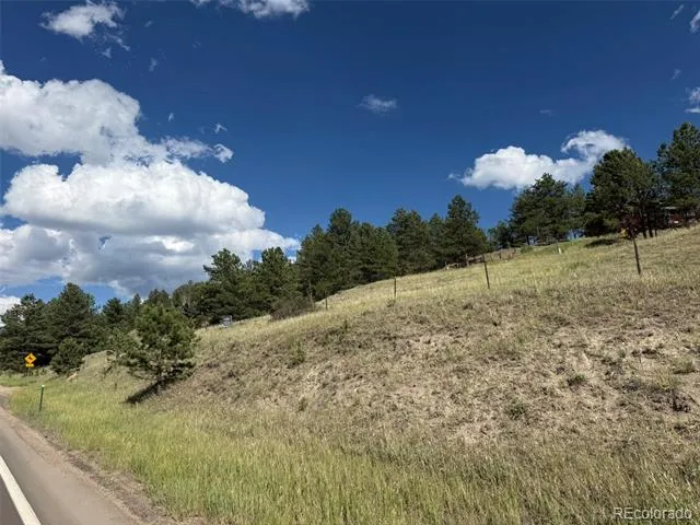 125 & 137 Hillside Drive Florissant, CO 80816