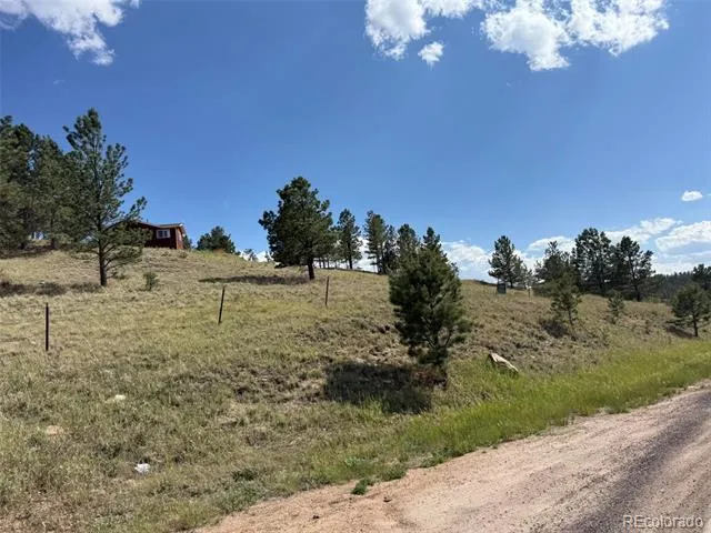 125 & 137 Hillside Drive Florissant, CO 80816