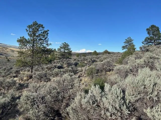 Lot 7668 Froom Road Fort Garland, CO 81133