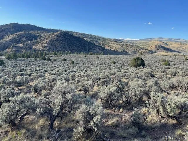 Lot 7668 Froom Road Fort Garland, CO 81133