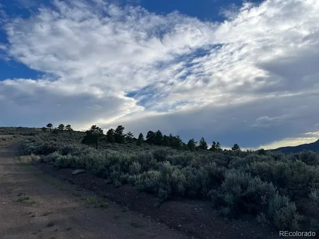 Lot 7668 Froom Road Fort Garland, CO 81133