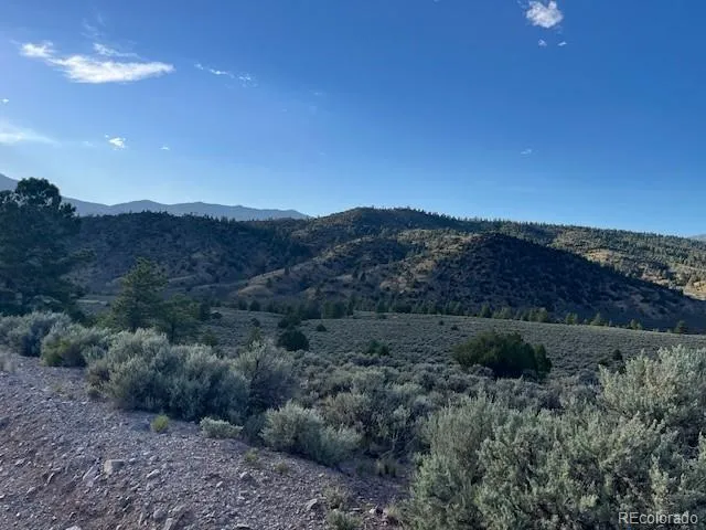 Lot 7668 Froom Road Fort Garland, CO 81133