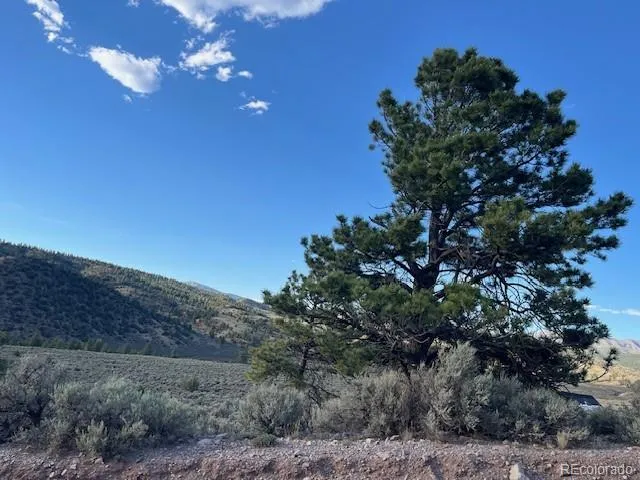 Lot 7668 Froom Road Fort Garland, CO 81133