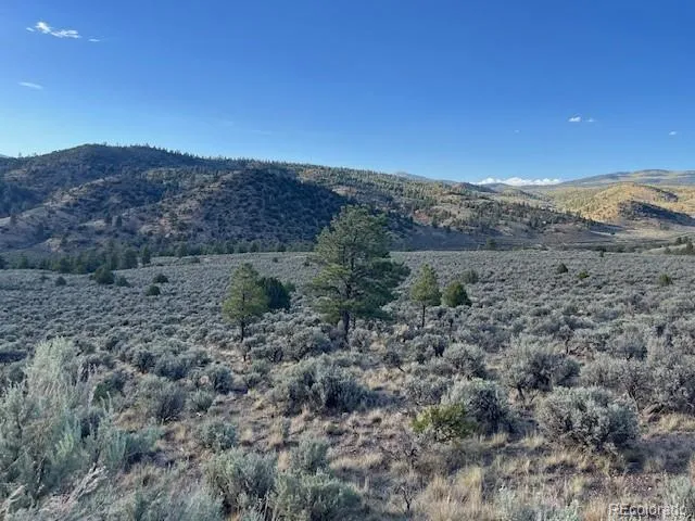 Lot 7668 Froom Road Fort Garland, CO 81133