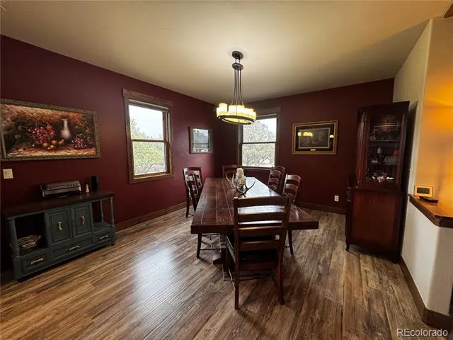 30563 Stampede Run Buena Vista, CO 81211