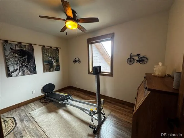 30563 Stampede Run Buena Vista, CO 81211