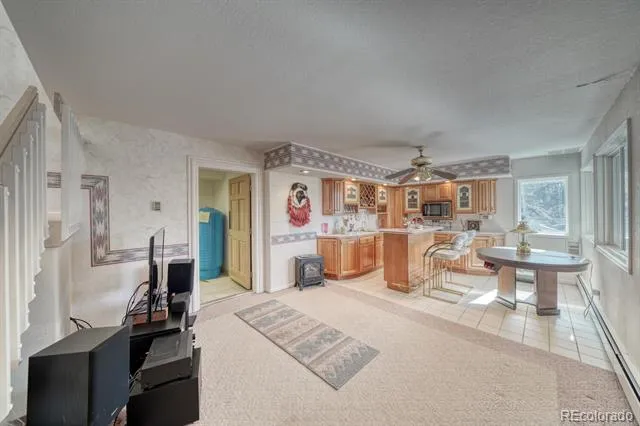 165 Reva Ridge Road Twin Lakes, CO 81251