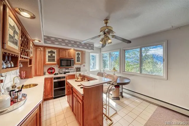 165 Reva Ridge Road Twin Lakes, CO 81251