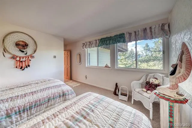 165 Reva Ridge Road Twin Lakes, CO 81251