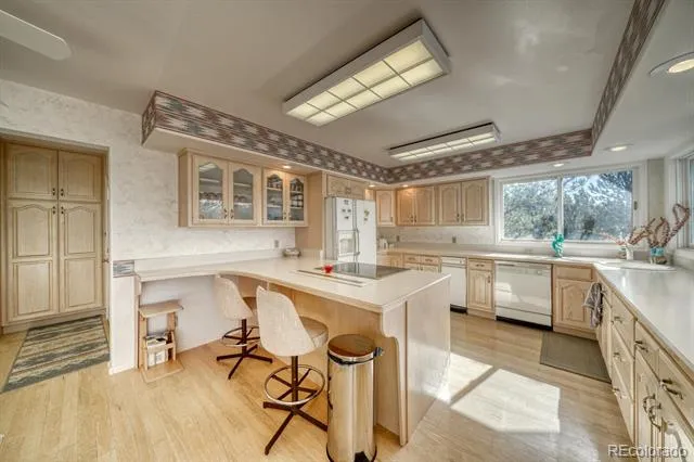 165 Reva Ridge Road Twin Lakes, CO 81251