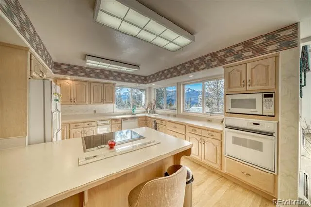 165 Reva Ridge Road Twin Lakes, CO 81251