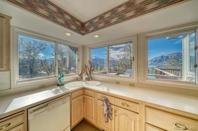 165 Reva Ridge Road Twin Lakes, CO 81251