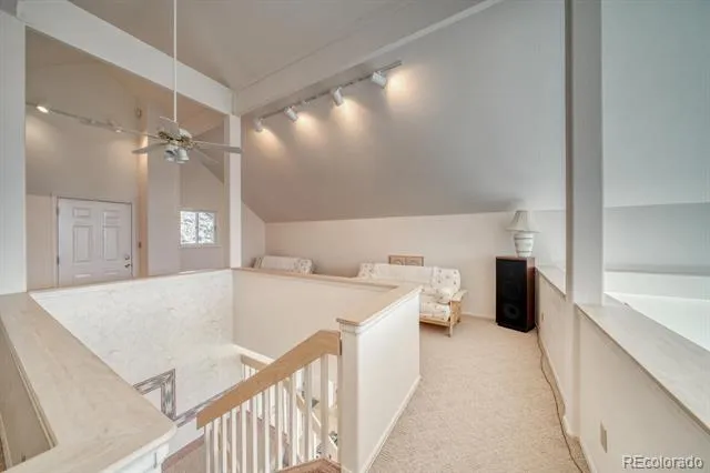 165 Reva Ridge Road Twin Lakes, CO 81251