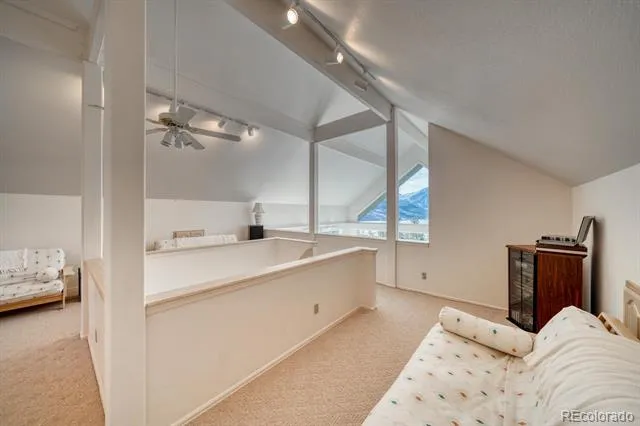 165 Reva Ridge Road Twin Lakes, CO 81251
