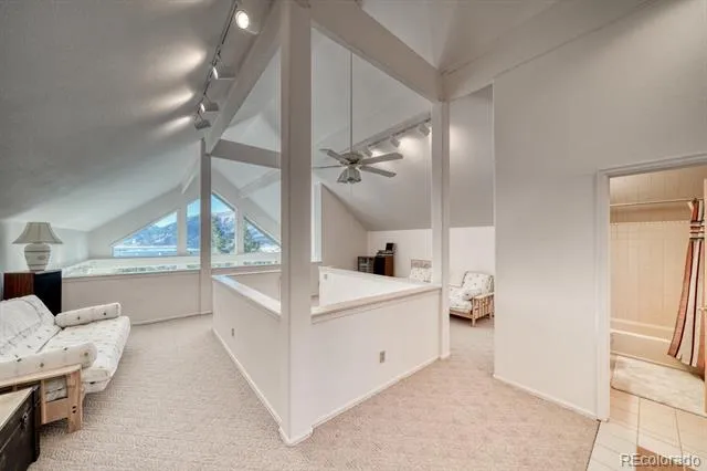 165 Reva Ridge Road Twin Lakes, CO 81251