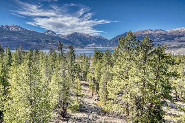 165 Reva Ridge Road Twin Lakes, CO 81251