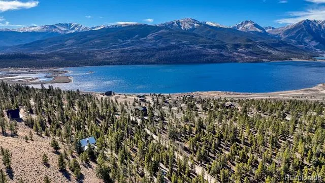 165 Reva Ridge Road Twin Lakes, CO 81251