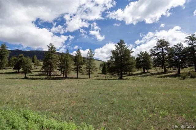 Address Not Shown Creede, CO 81130