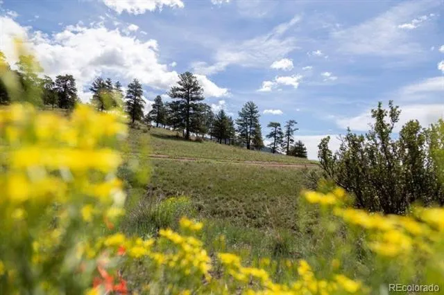 Address Not Shown Creede, CO 81130