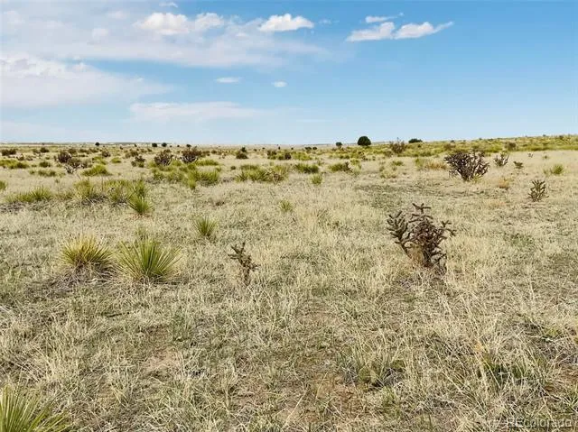 Lot 234 Turkey Ridge Ranch Walsenburg, CO 81089