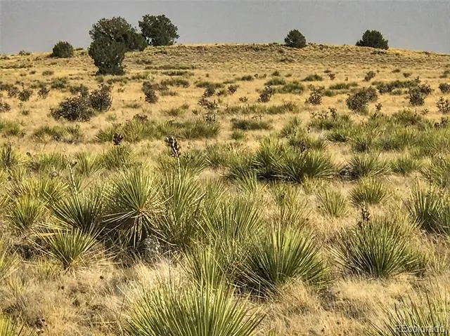 Lot 234 Turkey Ridge Ranch Walsenburg, CO 81089