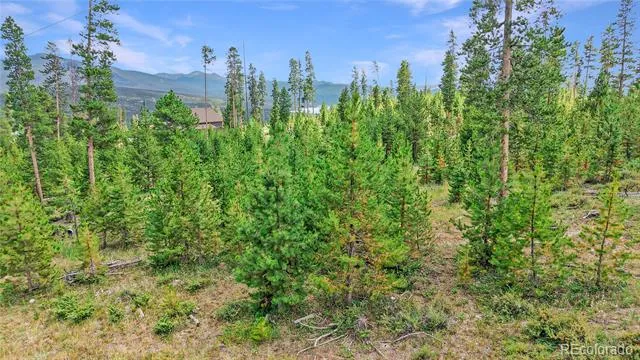 90 County Road 452 Grand Lake, CO 80447